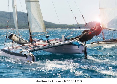 Sailing Boat Race, Catamaran In Regatta