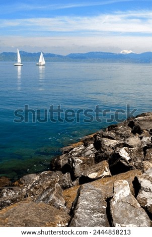 Sailing boats, Lac Leman (Lake Geneva), Evian-les Bains, Haute-Savoie, France, Europe