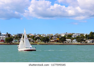 Sailing At Devonport - Auckland - New Zealand