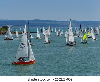 Sailing dinghies beating out to the start line at Napier New Zealand.         