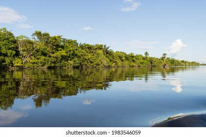 Sailing On The Nanay River, Contemplating The Dense Igapó Forest