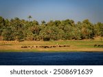 Sailing on Nile river, Kum Umbo, Egypt