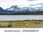 Sailing through the Beagle Channel, at the southern tip of South America, Argentina and Chile