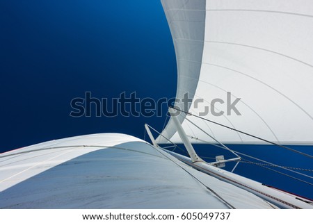 Sailing yacht catamaran sailing in the sea. Sailboat. Sailing in caribbean sea