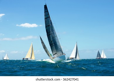 Sailing Yacht Race. Yachting. Sailing