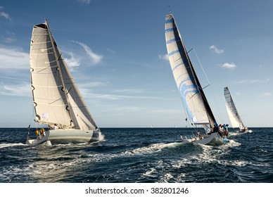 Sailing Yacht Race. Sailing.  Yachting