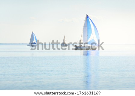 Sailing yacht regatta. Modern sailboats racing with blue spinnaker sails. Clear summer day. Kiel, Germany. Sport and recreation, transportation, private wessel, vacations