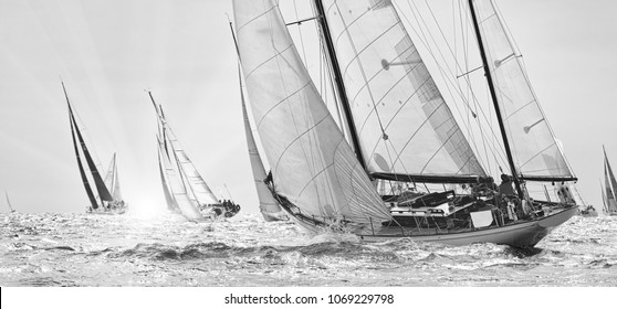 Sailing Yachts Classic Regatta. Yachting. Sailing. Race