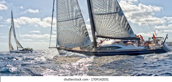 Sailing Yachts. Race Under The Sails. Yachting