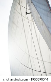 Sails of a modern white sloop rigged charter yacht. Low angle view. Mediterranean sea. Private vessel for rent, cruise, recreation, leisure activity, sport, regatta, rigging equipment