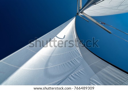 sails of a sailing yacht in the wind