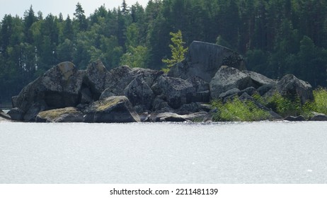 Saimaa Ringed Seal Pusa Hispida Saimensis Basking On A Rock On An Islet On Lake Saimaa In Savo Region Of SOuthern Finland In Summer Time