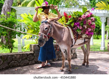 SAINT ANN, NORTH COAST OF JAMAICA - APRIL 2, 2008: A woman with a bonnet and a donkey with basket of colorful flowers. Saint Ann, Jamaica
