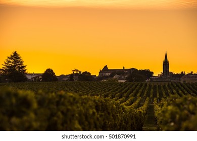 Saint Emilion, Vineyard Sunrise, Bordeaux Wine, France