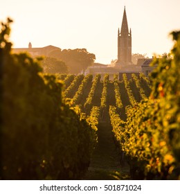 Saint Emilion, Vineyard Sunrise, Bordeaux Wine, France