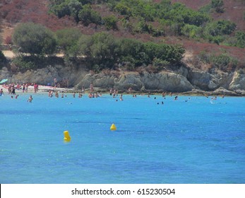 Plage De Lotu Images Stock Photos Vectors Shutterstock