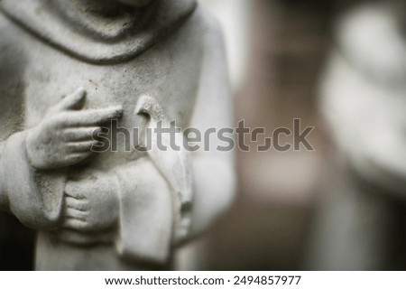 Saint Francis of Assisi statue in a mission