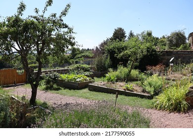 medieval garden