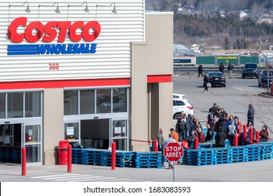 costco coupons nb