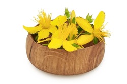 Saint John's Wort Or Hypericum Flowers In Wooden Bowl Isolated On White Background