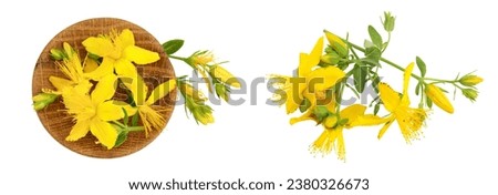 saint john's wort or Hypericum flowers in wooden bowl isolated on white background. Top view. Flat lay