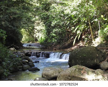 Saint Lucia Hiking 