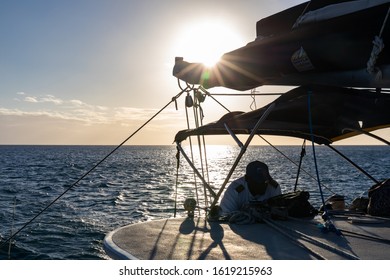 Saint Lucia, West Indies - Skipper Of A Sailing Yacht At The Sunset