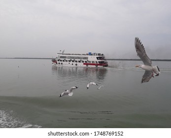 Saint Martin's Island Travel Cruise Ship Naf River And Seagulls