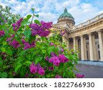 Saint Petersburg. Russia. Kazan Cathedral. Lilac in the center of St. Petersburg. Kazan Cathedral on a sunny day. Temple on Nevsky Prospect. Guide to St. Petersburg. Sights of Russia. Museums