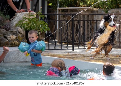Saint Pierre, France - July 3rd 2022 - Adult and children playing with Australian Sheppard in swimming pool during summer
