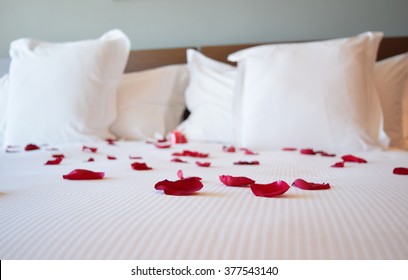 Rose Petals On Bed Hd Stock Images Shutterstock