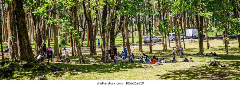 Sainte-Rose, Réunion - October 2020 : Creole Family Enjoying A Picnic In Anse Des Cascades On Reunion Island One Saturday Morning