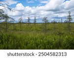 Saint-Narcisse peat bog natural park (Saint-Narcisse, Quebec, Canada)