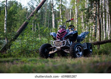 SAINT-PETERSBURG, RUSSIA - AUGUST 2015: ATV Yamaha Raptor R700 , In The Forest. With Fallen Trees In The Background