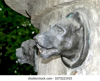 SAINT-PETERSBURG, RUSSIA - JULY 22, 2014: Photo Of The Monument To The Dog Pavlov On The Territory Of The Institute Of The Human Brain. Fragment.