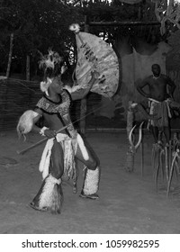SAKALAND-NOVEMBER 27 : Unidentified Zulu dancers wear traditional Zulu clothing, during presentation of a Zulu show on November 27, 2010 Shakaland Zulu Cultural Village, KwaZulu-Natal, South Africa