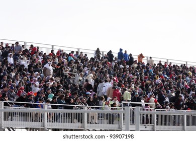 SAKHIR AIRBASE, BAHRAIN - JANUARY 21: Jam-packed Grandstand with spectators to view the flying display & aerobatic show in Bahrain International Airshow at Sakhir Airbase, Bahrain on 21 January, 2012