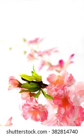 Sakura - Shutterstock ID 382814740