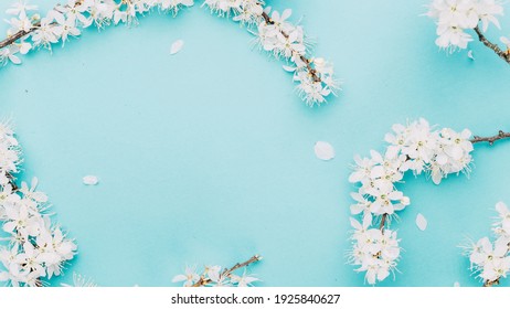 花 背景 水色 の写真素材 画像 写真 Shutterstock