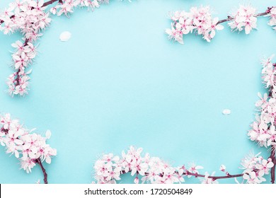 Sakura Blossom Flowers And May Floral Nature On Blue Background. For Banner, Branches Of Blossoming Cherry Against Background. Dreamy Romantic Image, Landscape Panorama, Copy Space.