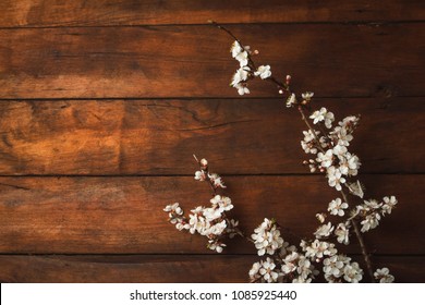 Sakura branches with flowers on a dark wooden background. Flat lay, top view.