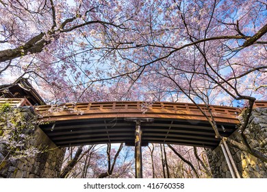 Sakura Bridge At Takato Castle Ruins Park In Springtime, Nagano, Japan