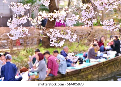 Sakura (Cherry Blossom)  tree with the small canal and the background of people drinking under the trees. it is called Hanami - Powered by Shutterstock