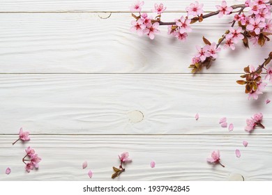 60,363 Cherry border Images, Stock Photos & Vectors | Shutterstock