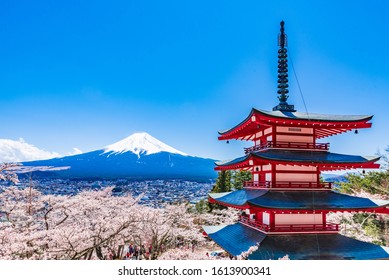 Sakura cherry blossoms in spring, Chureito pagoda and Mt Fuji, Japan.