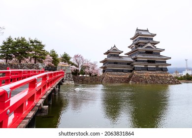 Sakura Full Blooms At Matsumoto Castle, Nagano Prefecture, Japan.