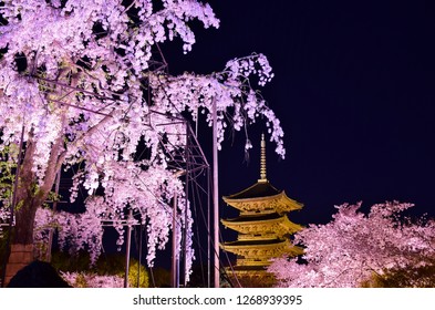 Sakura at night in kyoto , japan - Powered by Shutterstock