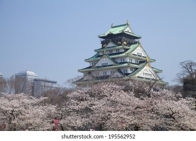 Sakura And Osaka Castle