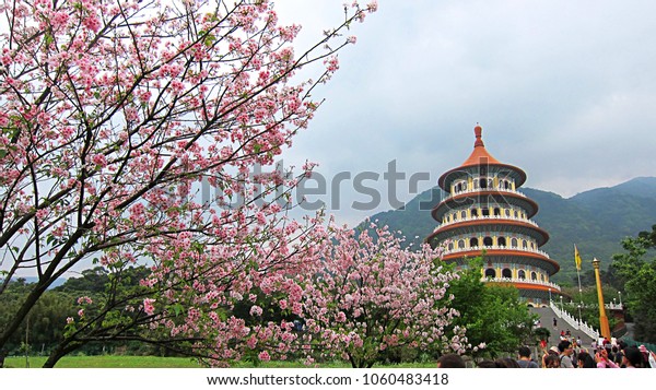 Sakura Tianyuan Gong Temple Taiwan Stock Photo Edit Now - 