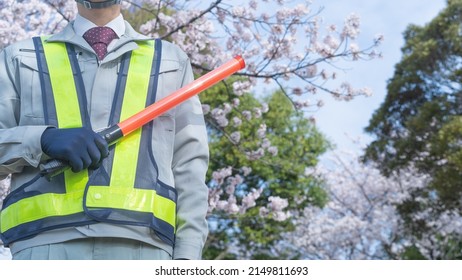 Sakura And Work Clothes. Image Of Joining The Construction Industry.A Security Guard Man With A Red Stick.